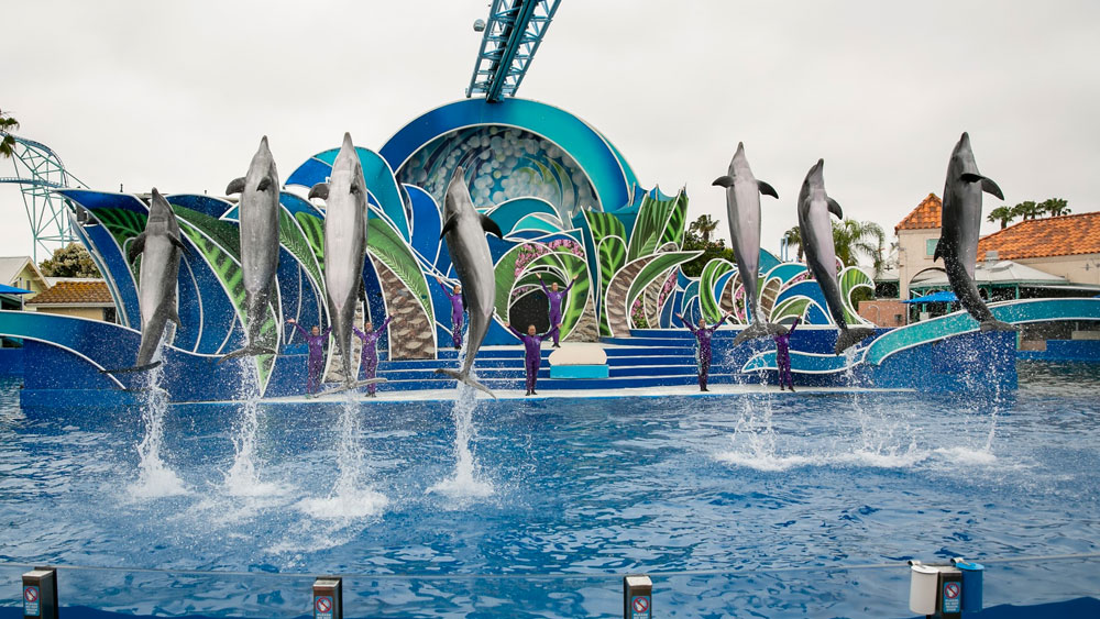 Parques de diversão na Califórnia - SeaWorld San Diego